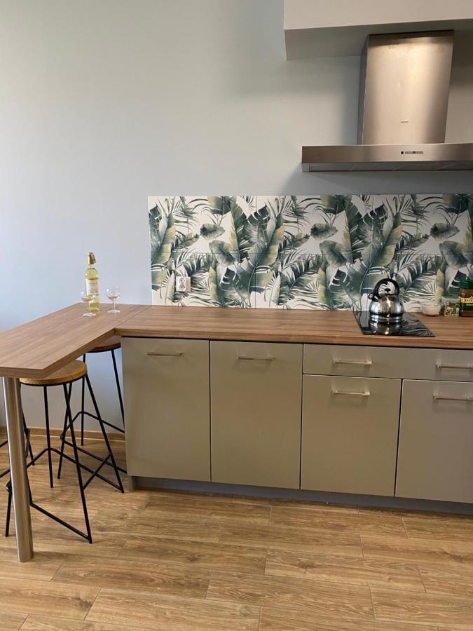 2 Tyskie Apartamenty Z Ogrodkiem Тыхы Экстерьер фото